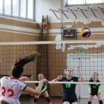 Under 16 Sokol - Poggi