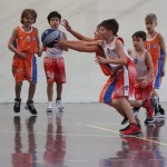 minibasket Polet/Kontovel - Sokol