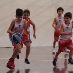minibasket Polet/Kontovel - Sokol