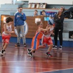 minibasket Polet/Kontovel - Sokol