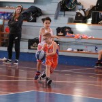minibasket Polet/Kontovel - Sokol