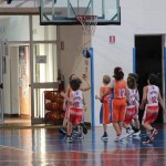 minibasket Polet/Kontovel - Sokol