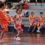minibasket Polet/Kontovel - Sokol