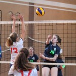 Under 16 Sokol - Poggi