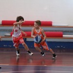 minibasket Polet/Kontovel - Sokol