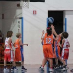 minibasket Polet/Kontovel - Sokol