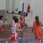 minibasket Polet/Kontovel - Sokol