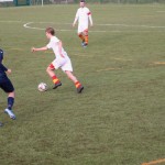 Elitna liga: Primorje - Pro Cervignano