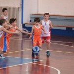 minibasket Polet/Kontovel - Sokol