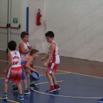 minibasket Polet/Kontovel - Sokol