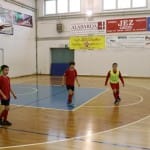 10. Zimski pokal ZSŠDI