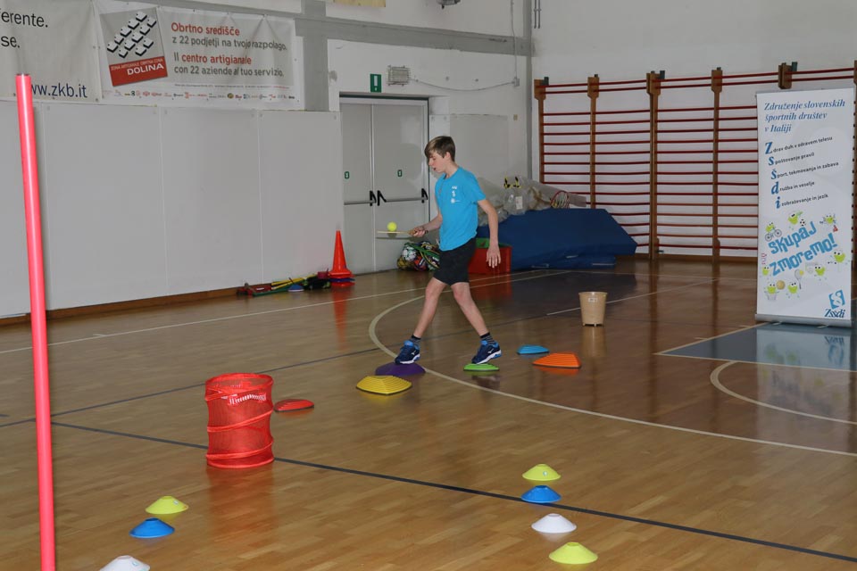 ZSŠDI: Šolski jezikovni poligon v Dolini