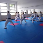 Virtualni trening za karateiste Shinkai cluba