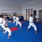 Virtualni trening za karateiste Shinkai cluba