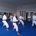 Virtualni trening za karateiste Shinkai cluba