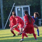 IMG_0017-2