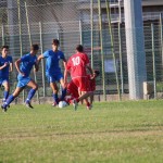 IMG_0030-2