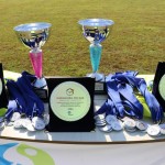 ZSŠDI, v Sovodnjah Dobrodošli pri nas