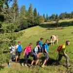 Priprave gora Zermula