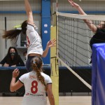 Sport - ODBOJKA - zenski dezelni pokal - Zalet – Olympia TS
