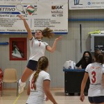 Sport - ODBOJKA - zenski dezelni pokal - Zalet – Olympia TS
