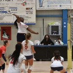 Sport - ODBOJKA - zenski dezelni pokal - Zalet – Olympia TS