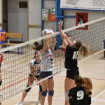 Sport - ODBOJKA - zenski dezelni pokal - Zalet – Olympia TS