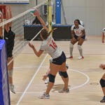 Sport - ODBOJKA - zenski dezelni pokal - Zalet – Olympia TS
