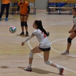 Sport - ODBOJKA - zenski dezelni pokal - Zalet – Olympia TS