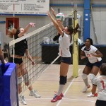 Sport - ODBOJKA - zenski dezelni pokal - Zalet – Olympia TS