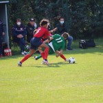Elitna liga:Primorec-Ronchi