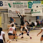 Ženski deželni pokal Zalet-Volley club