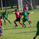 Elitna liga:Primorec-Ronchi