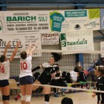 Ženski deželni pokal Zalet-Volley club