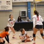 Ženski deželni pokal Zalet-Volley club