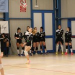 Ženski deželni pokal Zalet-Volley club