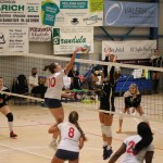 Ženski deželni pokal Zalet-Volley club