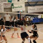 Ženski deželni pokal Zalet-Volley club