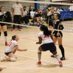 Ženski deželni pokal Zalet-Volley club