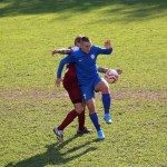 IMG_0069-4