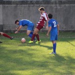 IMG_0071-3