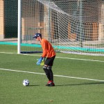 2.AL:Opicina-Sovodnje