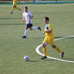 2.AL:Opicina-Sovodnje