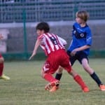 Samo Tomasetig