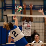 Zalet ZKB - FVG Volley Academy