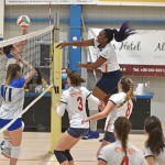 Sport - ODBOJKA - ZENSKA C LIGA - Zalet ZKB - Blu Team