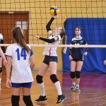 Sport - ODBOJKA - UNDER 15 ZENSKE - Kontovel - Zalet Dvigala Barich