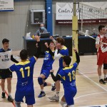SPORT - ODBOJKA - MOSKA C LIGA - Sloga Tabor Eutonia - Soca ZKB