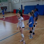 Sokol Zalet – Zalet Dvigala Barich