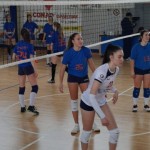 Sokol Zalet – Zalet Dvigala Barich